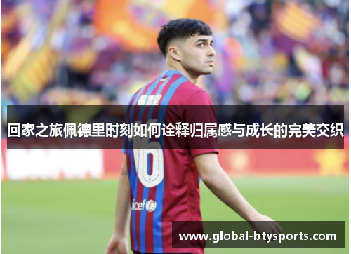 回家之旅佩德里时刻如何诠释归属感与成长的完美交织