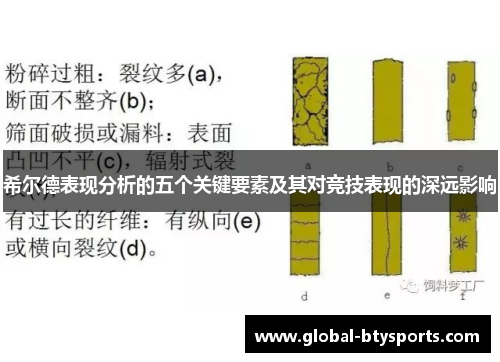 希尔德表现分析的五个关键要素及其对竞技表现的深远影响
