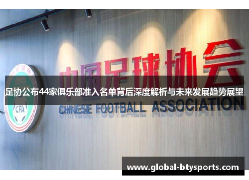 足协公布44家俱乐部准入名单背后深度解析与未来发展趋势展望