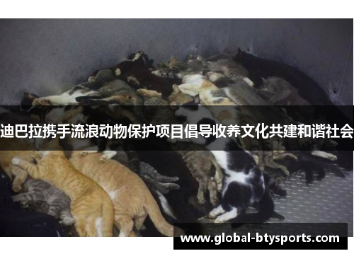 迪巴拉携手流浪动物保护项目倡导收养文化共建和谐社会