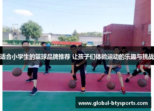 适合小学生的篮球品牌推荐 让孩子们体验运动的乐趣与挑战