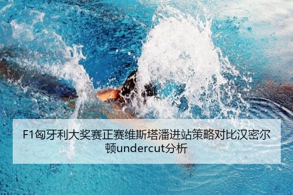 xiong-ya-li-da-jiang-sai-zheng-sai-wei-si-ta-pan-jin-zhan-ce-lve-dui-bi-han-mi-er-dun-fen-xi-3-434.jpg